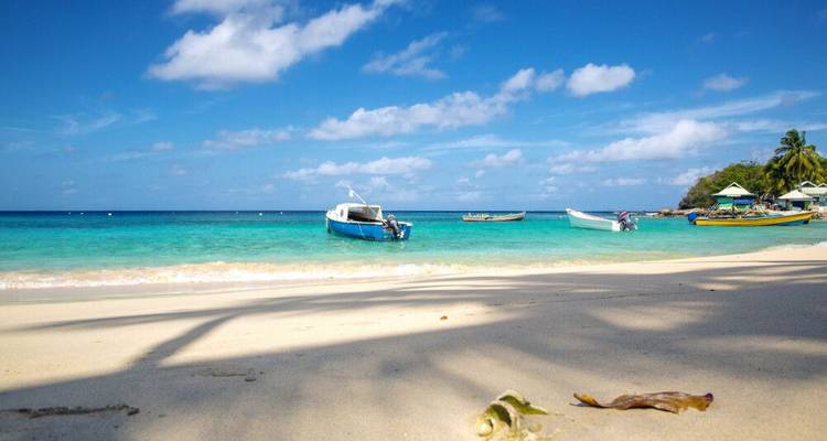 De isla en isla por el caleidoscopio del Caribe - con un viaje en velero de 8 días - DIAMIR Erlebnisreisen 5