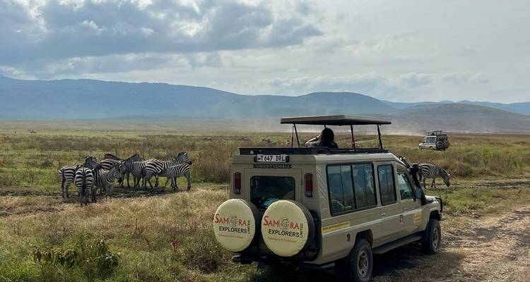 Safari de 3 días Prueba al Serengeti y el cráter del Ngorongoro - Samora Explorers Ltd 1