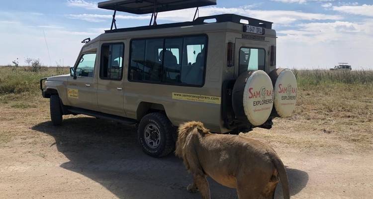 Safari de 3 días Prueba al Serengeti y el cráter del Ngorongoro - Samora Explorers Ltd 2
