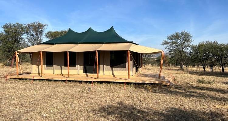 4-Day Mid Range Tarangire, Serengeti & Crater Safari - Samora Explorers Ltd 6