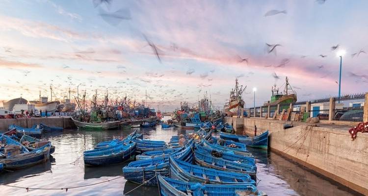 De Marrakech à Casablanca : Désert d'Agafay et Côte Atlantique - 6 jours - Morocco Tour Marrakech  8