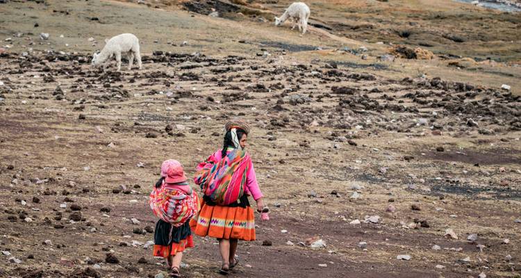 Deux personnes en tenue traditionnelle avec des alpagas dans un champ.