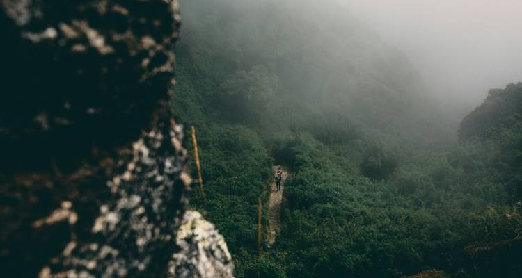 Twee mensen die lopen op een mistig bergpad.