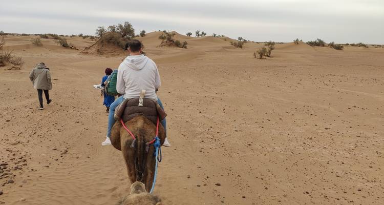 Circuit de 7 jours de Marrakech à Casablanca (privé) - Morocco Magic Trip 4