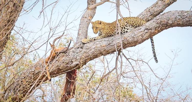 11 días explorando los 5 lugares declarados patrimonio de la humanidad por la UNESCO en Zimbabue - Little Roz Tours 1