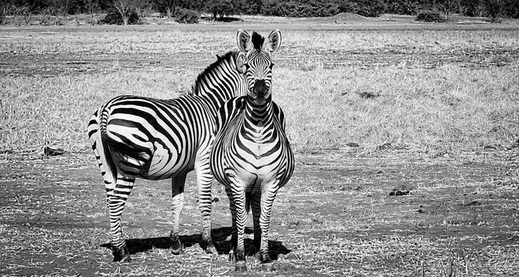 11 días explorando los 5 lugares declarados patrimonio de la humanidad por la UNESCO en Zimbabue - Little Roz Tours 2