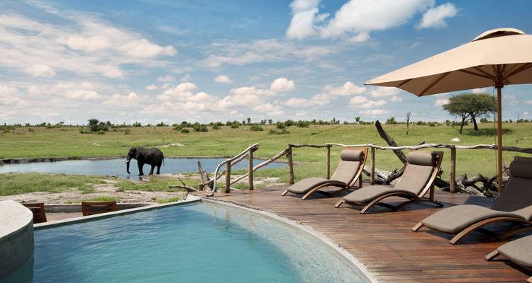 Terrasse piscine de luxe surplombant un point d'eau où un éléphant solitaire s'abreuve dans la plaine dégagée