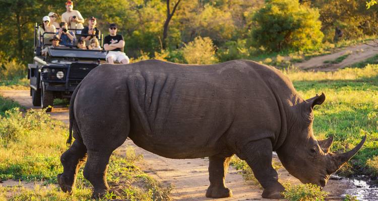 Circuito turístico en alemán por Sudáfrica: Parques de caza Durban - Johannesburgo vía Parque Nacional Kruger en grupo pequeño, 2024 - Terra Nova  1