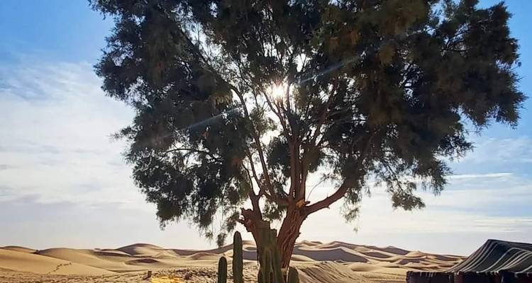 8 Days Tour From Casablanca To Marrakesh via the Sahara desert (Group) - Morocco Magic Trip 8