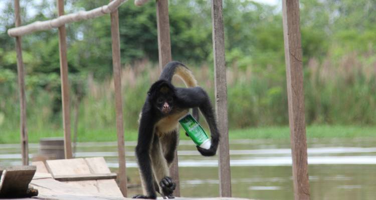 Yanayacu et fleuve Amazone - 4 jours - Unu Raymi Expeditions 4
