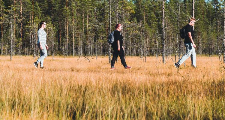 Trois personnes faisant de la randonnée à travers un champ herbeux dans une forêt.