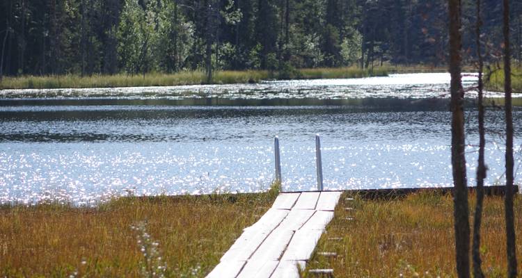Un lac scintillant avec une promenade en bois menant à l'eau.