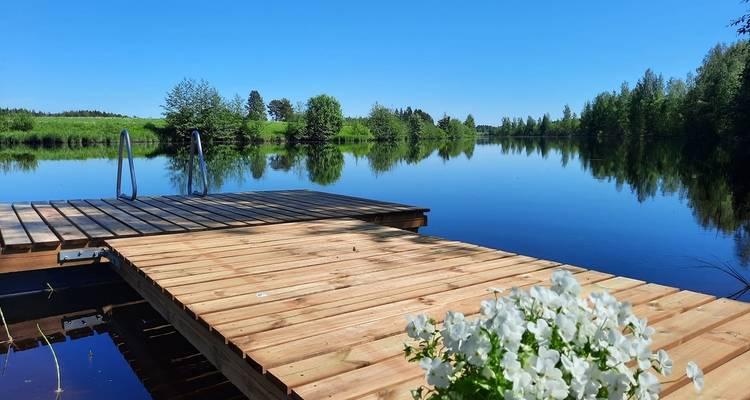 A tranquil lake view with a wooden dock and surrounding forest.