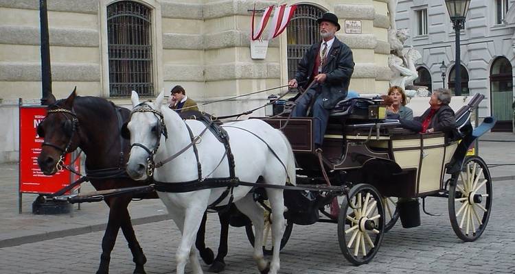 Circuito Privado de Austria a Viena y Salzburgo, Salida Diaria - Agate Travel 2