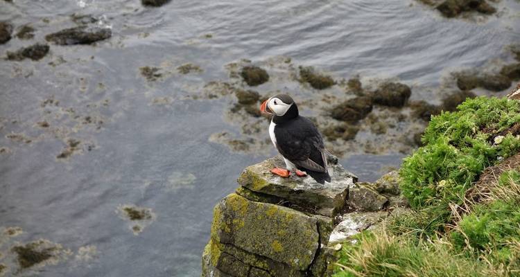 8 Days Westfjords of Iceland - GJ Travel 4