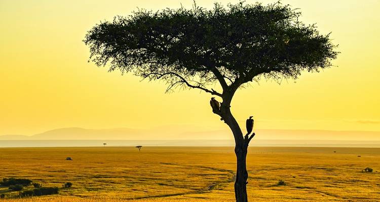 Safari combinado de 5 días Kenia - Tanzania - Afrishare Trekking And Safaris 8
