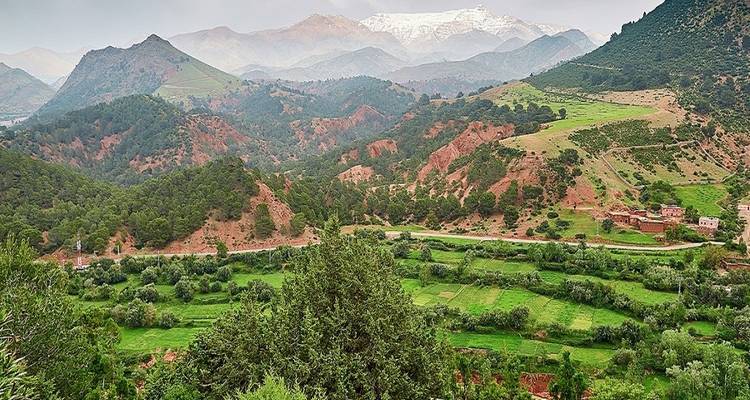 Marrakech, gran circuito por el desierto, el senderismo y la costa - 8 días - Morocco Tour Marrakech  1