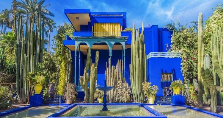 Levendig blauw gebouw omringd door hoge cactussen en weelderige tuinen.