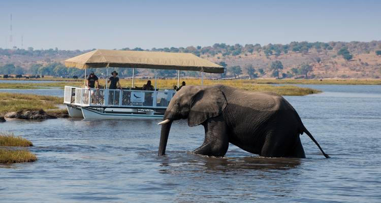 7 Días | Cataratas Victoria, Parque Nacional de Chobe y Johannesburgo - Timeline Travel DMC 1