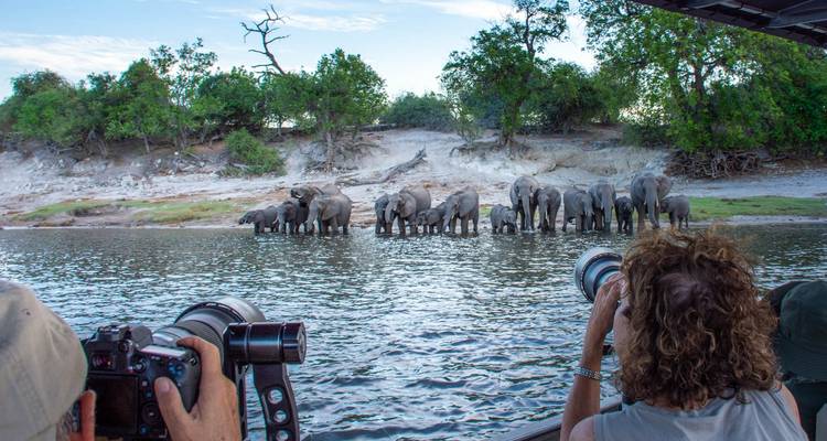 7 Días | Cataratas Victoria, Parque Nacional de Chobe y Johannesburgo - Timeline Travel DMC 7