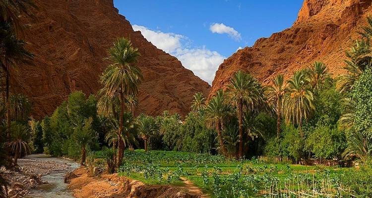 Aventure dans le sud du Maroc : Marrakech à Merzouga - 9 jours - Morocco Tour Marrakech  8