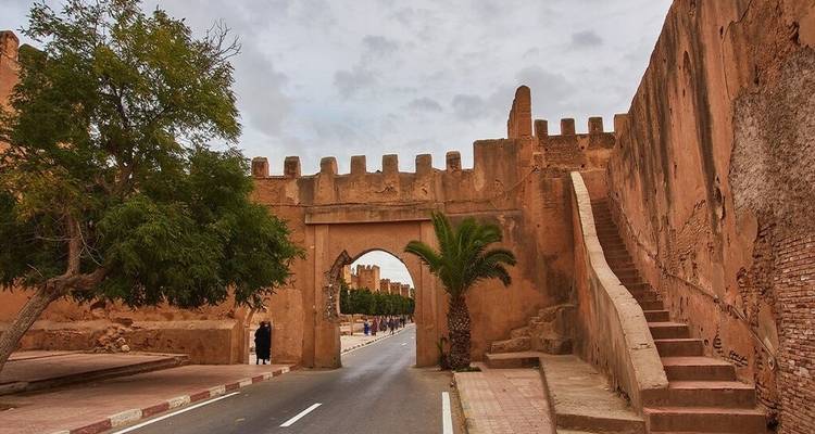 Historische stadspoort met bomen en een wegbaan.