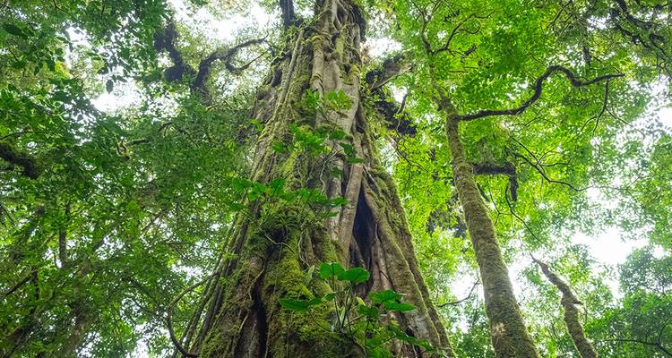 One Week In Costa Rica (7 destinations) - Intrepid Travel 6