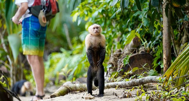 One Week In Costa Rica (7 destinations) - Intrepid Travel 9