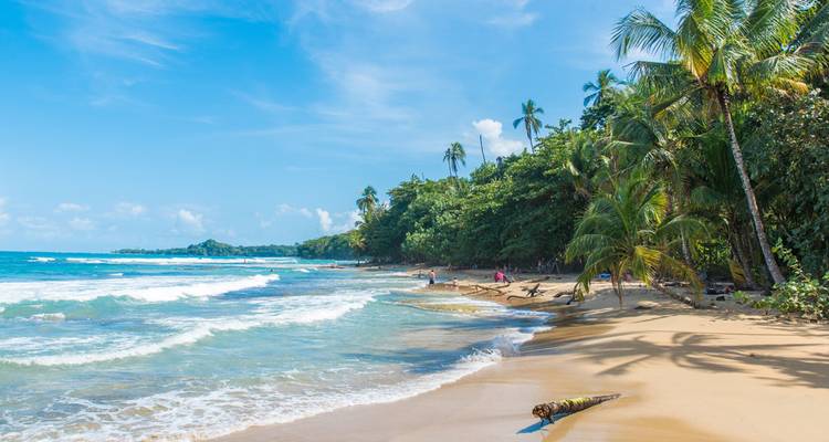 Plage de sable tropical avec des vagues douces, des palmiers et des baigneurs profitant du beau temps ensoleillé.