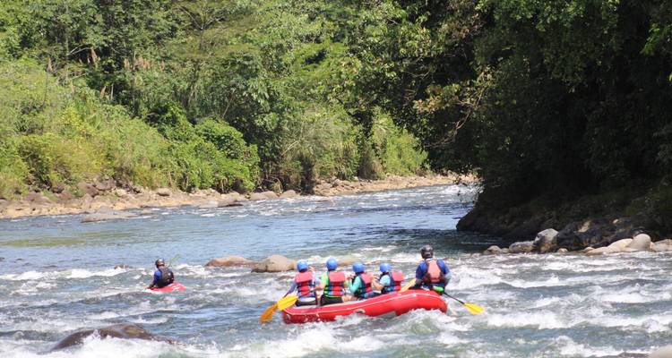 Groep mensen die raften op een rivier door een weelderig bosgebied.