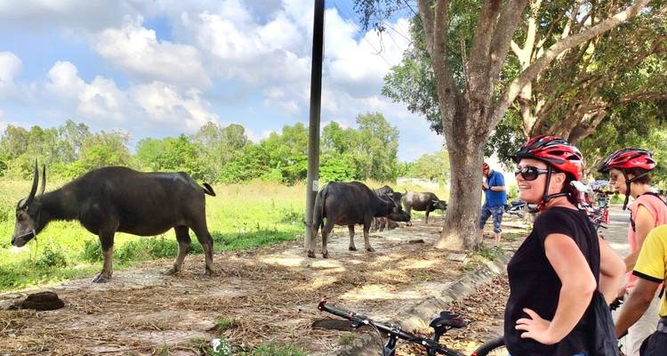 Cyclisme sur la côte vietnamienne 9 jours/ 8 nuits - Vietnam By Bike 2