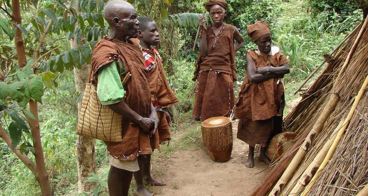 Safari de lujo de 4 días para rastrear gorilas en Uganda (en avión) - Primate World Safaris (U) Ltd 10