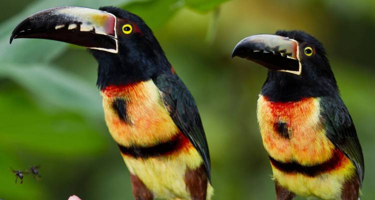 Découverte du Nicaragua au Belize - Intrepid Travel 5