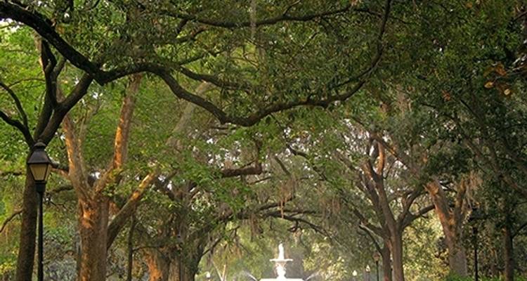 Le charme du Sud avec Charleston, Savannah et Jekyll Island (de Charleston, SC à Jekyll Island, GA) (2024) - Collette 5