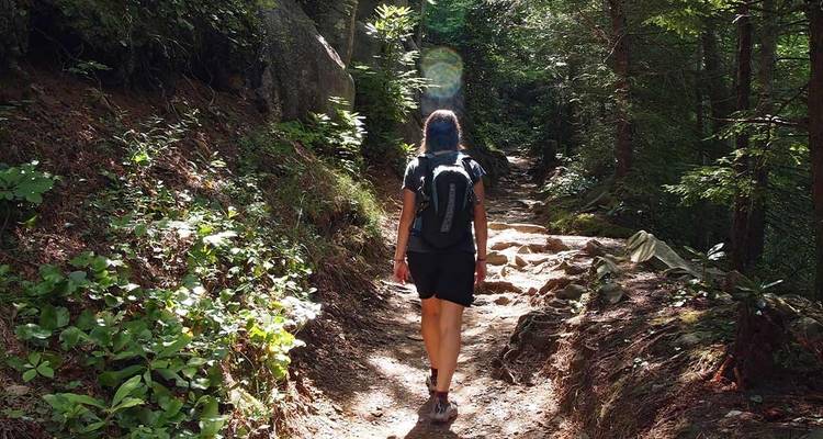 Hiking the Best of Great Smoky Mountains National Park  - Intrepid Travel 2