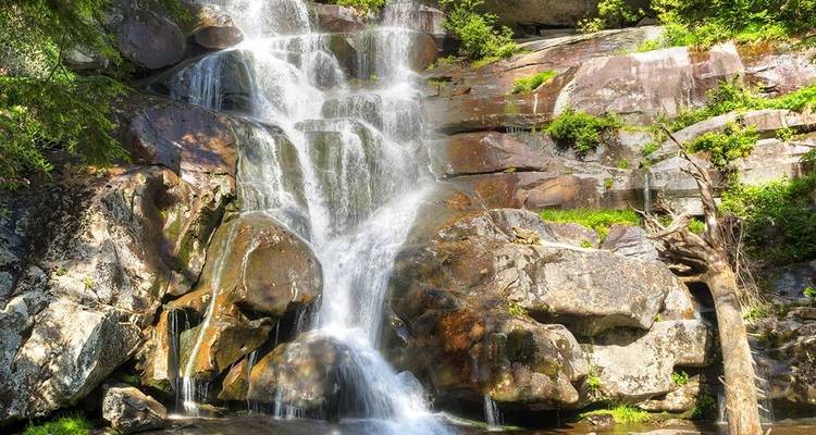 Hiking the Best of Great Smoky Mountains National Park  - Intrepid Travel 3