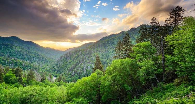 Hiking the Best of Great Smoky Mountains National Park  - Intrepid Travel 6
