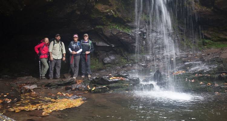 Hike the Great Smoky Mountains: Fall Foliage - Intrepid Travel 1