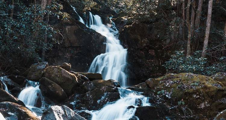 Hike the Great Smoky Mountains: Fall Foliage - Intrepid Travel 3