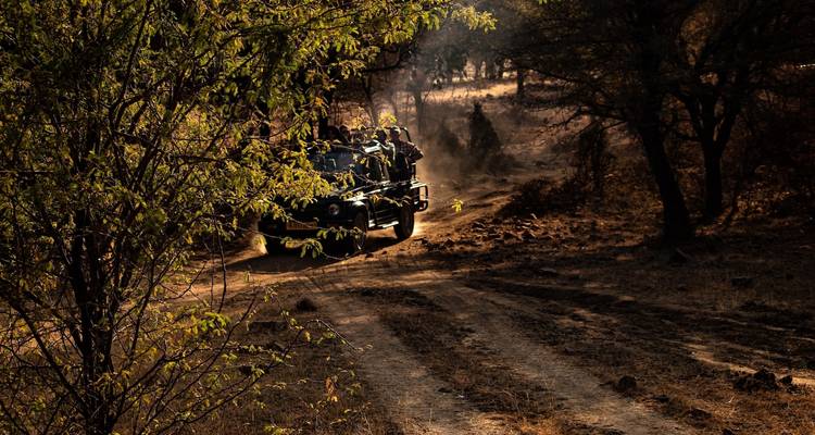 Rajasthan Wildlife Safari Tour - GoBook India Tours 2