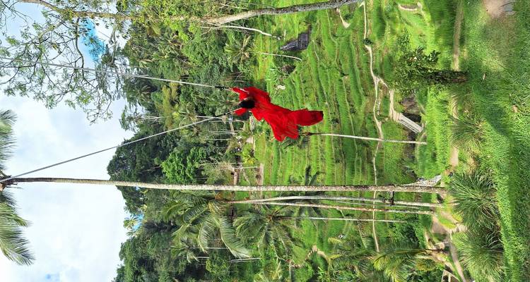 Découvrez la beauté de Bali en 14 jours - Diwira Wisata Indonesia 1