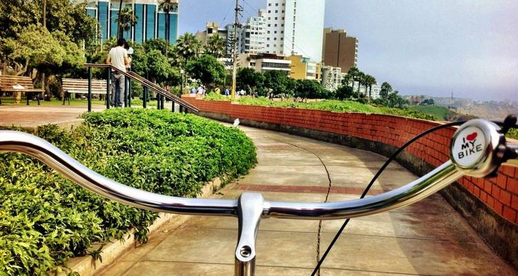 Blick auf einen Stadtpark aus der Perspektive eines Fahrradlenkers.
