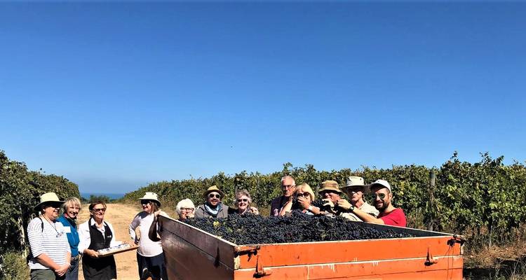 Learn Italian, Food & Culture in Abruzzo - Italia Sweet Italia 8