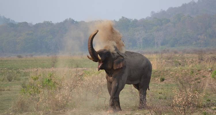 Golden Triangle with Ranthambore and Jim Corbett National Park - GoBook India Tours 1