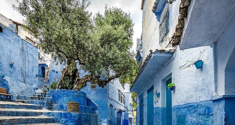 Eine schmale Straße mit blau gestrichenen Gebäuden und einem Baum darüber.