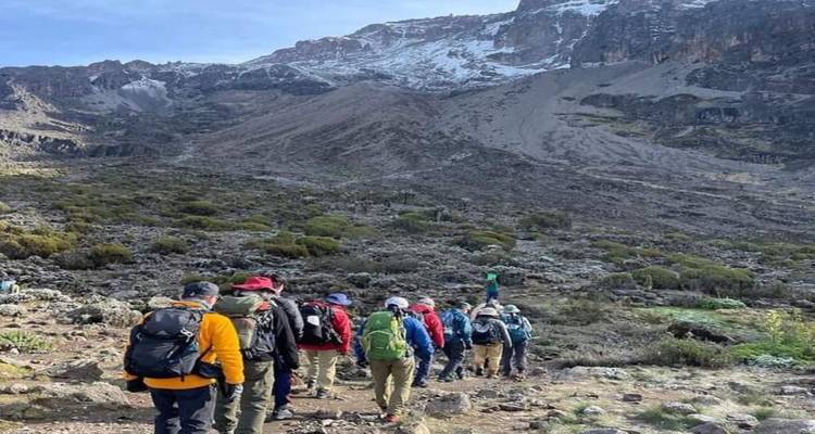 Group Joining Mount Kilimanjaro Climbing through Marangu route 8 Days Tanzania (all accommodation and transport are included) - Click Expeditions 8