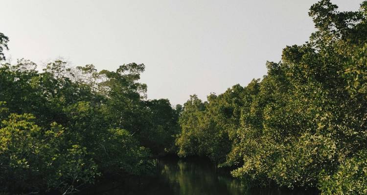 5 días en Colombia: Cultura y Naturaleza en Cartagena - Responsible Travel South America 3