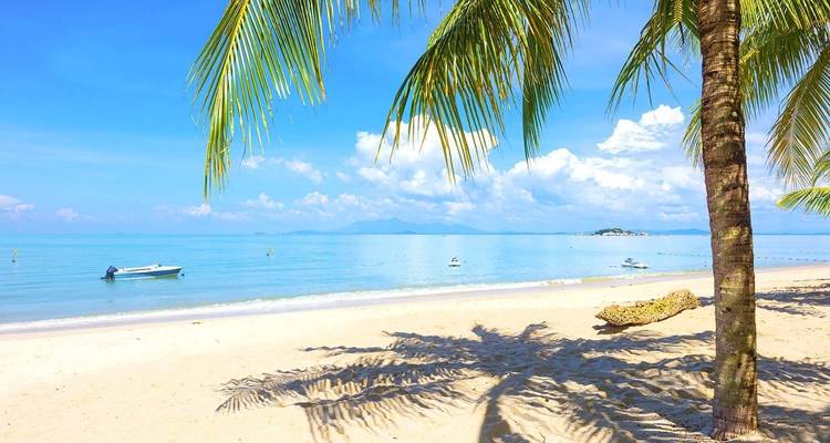 Vacaciones en Zanzíbar - Johnadventures 1