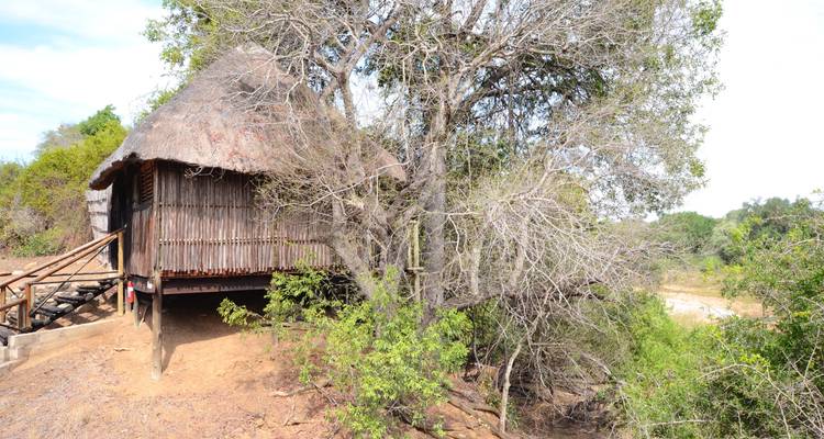 4 Day Lodge and Treehouse Kruger Park Safari - Viva Safaris 1