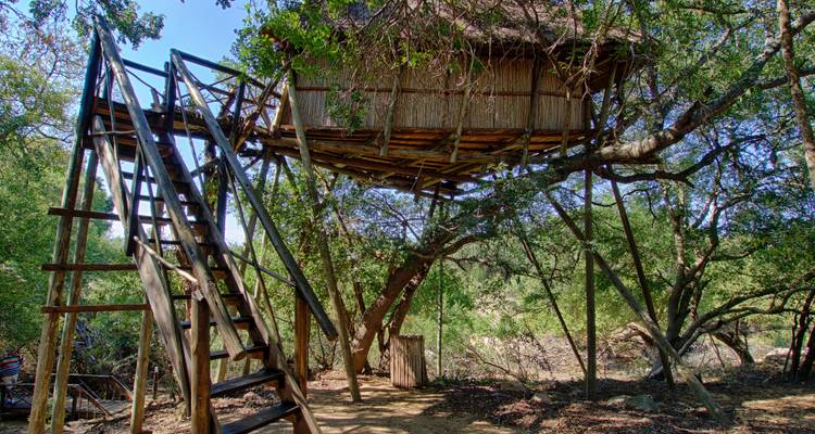 4 Day Lodge and Treehouse Kruger Park Safari - Viva Safaris 2